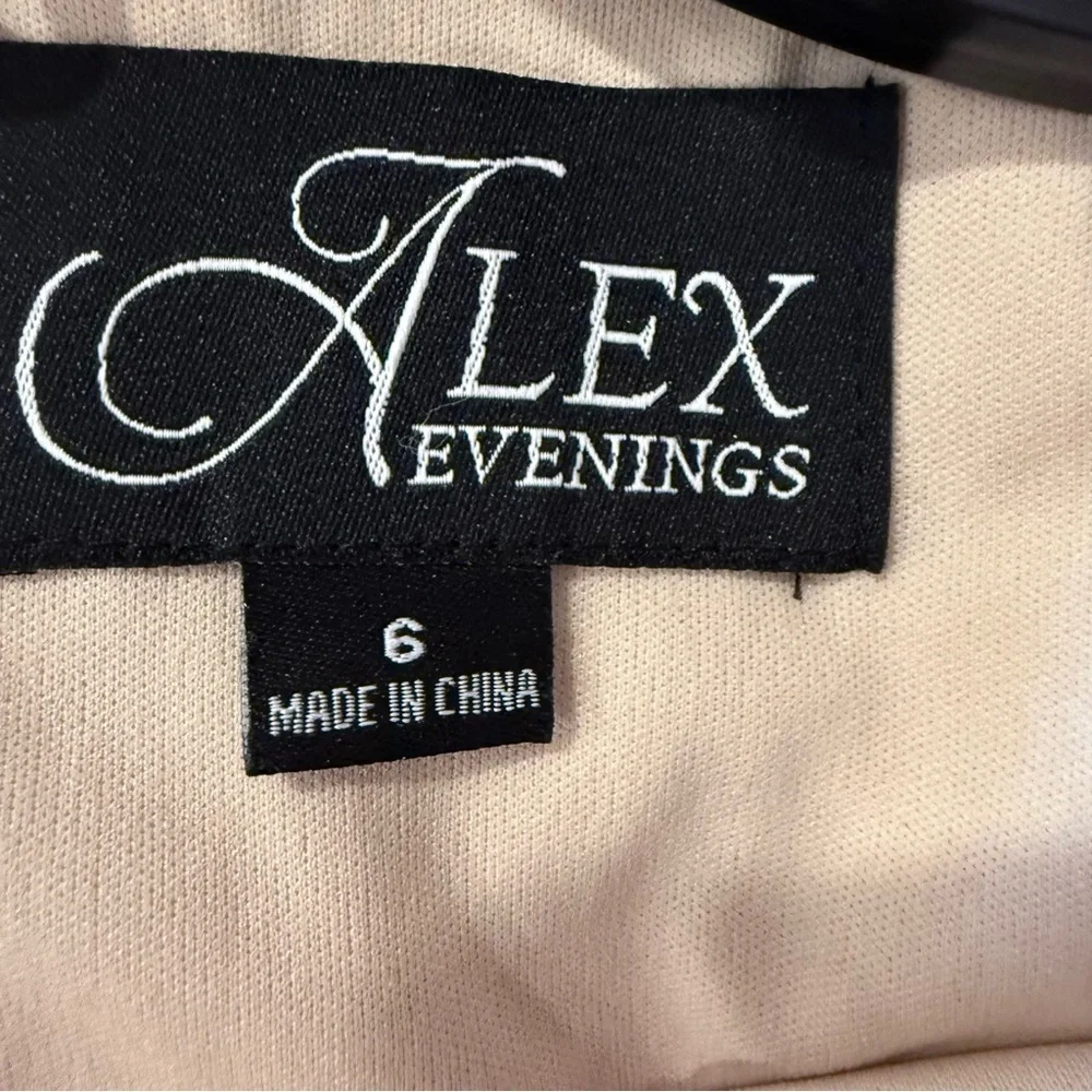 Alex Evenings Champagne Sequin Lace Chiffon Cape Sheath Dress size 6